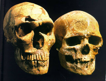 http://hugequestions.com/Eric/Neanderthals/Neanderthal-Cro-Magnon.jpg