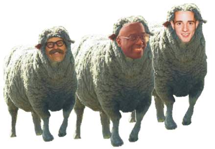 Three Sheeple